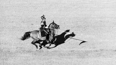 legal services financial overview