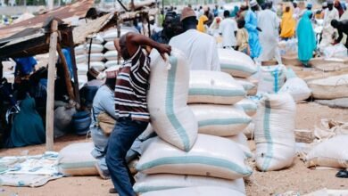 nft trading financial growth