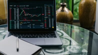 top stock investment picks