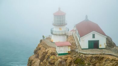 aris3 udsm login guide