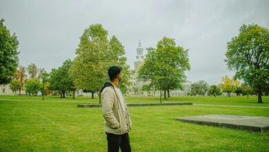 benefits of aris3 udsm