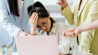 hazevecad04 pc version overview