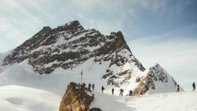 investigate contact number activity