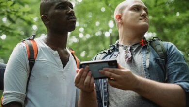 phone number lookup request