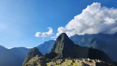 source history discovery request