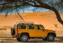 reliable expansion model online