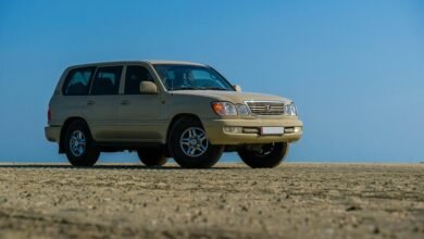 reliable web stability service